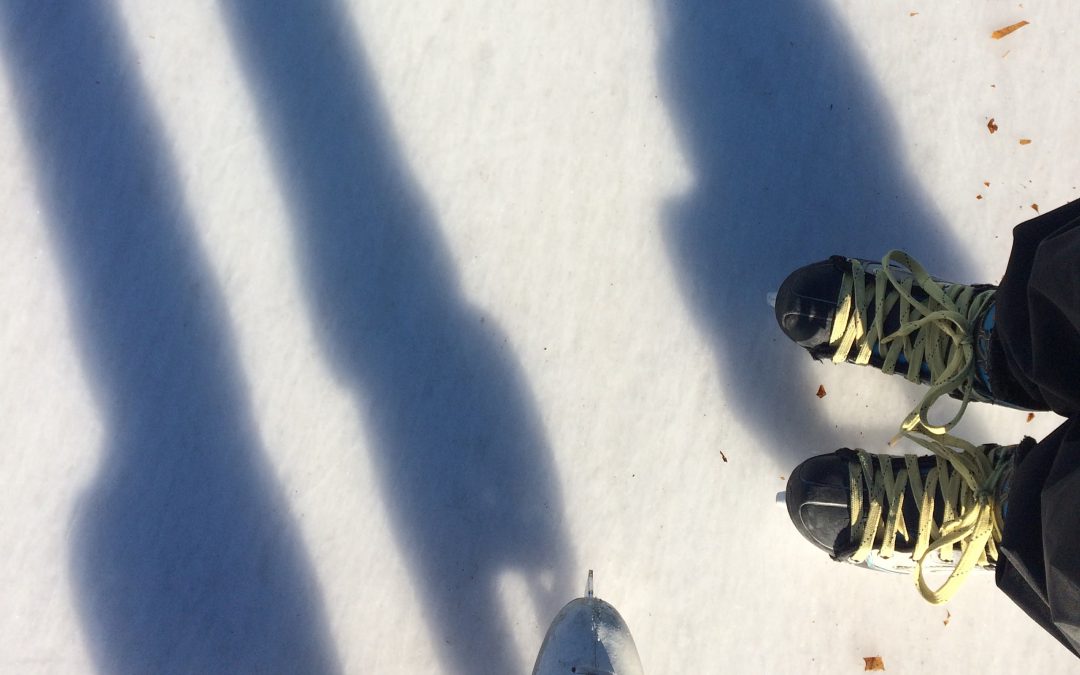 Skating Trails in Toronto