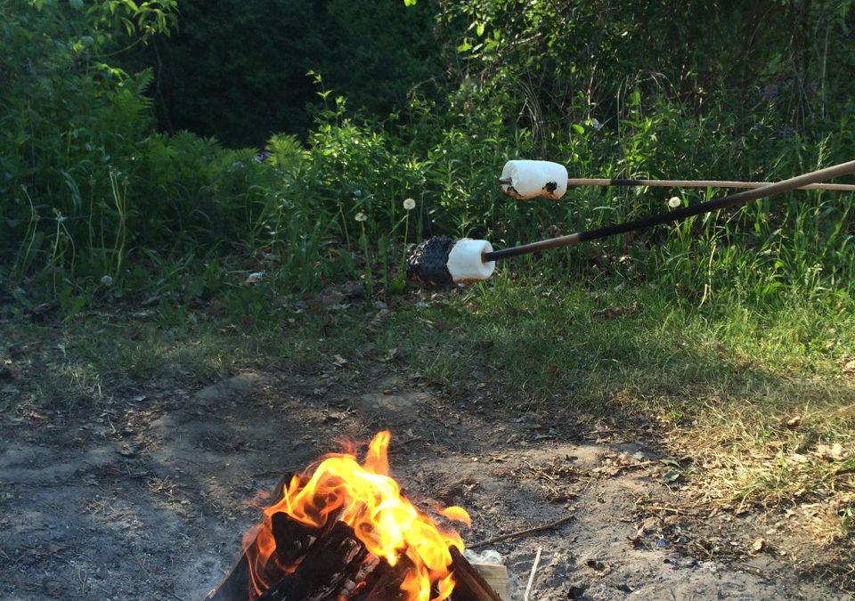 Urban Camping in Toronto: Glen Rouge Campground