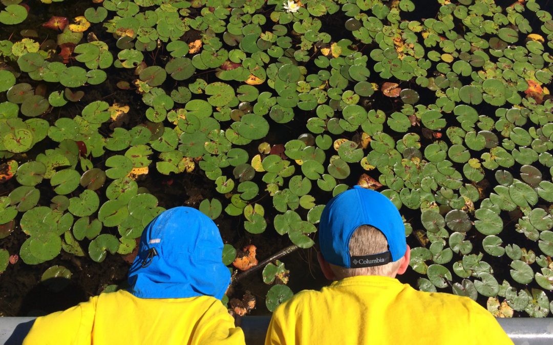 21 free (or almost free) things to do with families in Toronto this summer